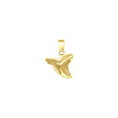 Shark Tooth Solid Gold Pendant GJP031