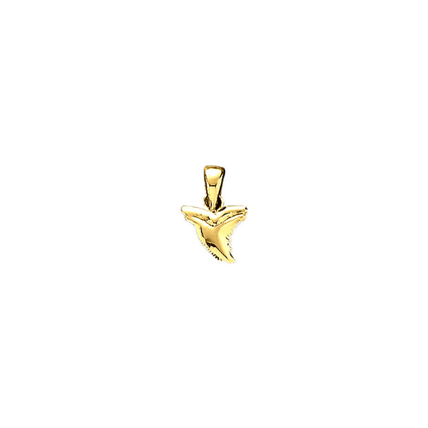 Small Shark Tooth Solid Gold Pendant GPD3784