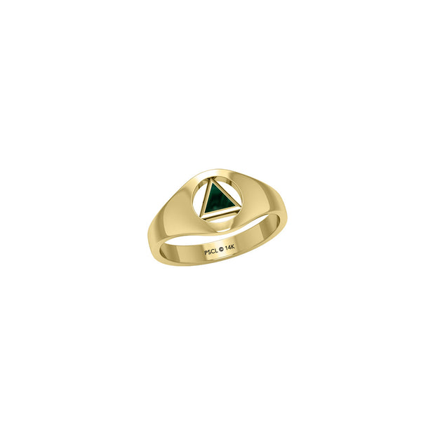 Small Solid Yellow Gold Ring with Inlaid Stone Recovery Symbol GRI1932