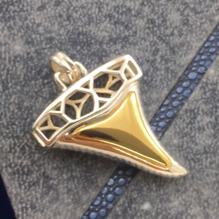 Window to Universe Shark Tooth Silver and 14k gold accents  Pendant MPD5047