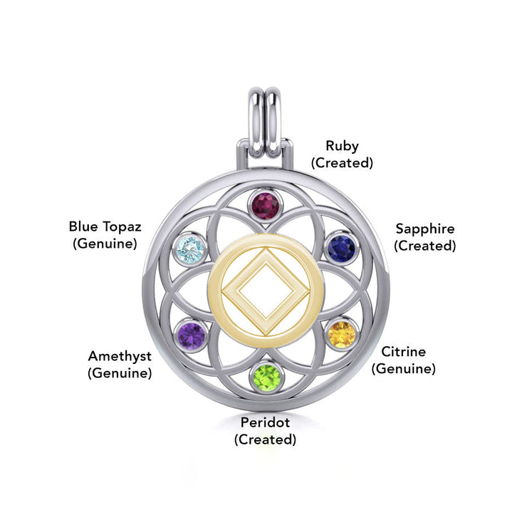 Flower of Life with NA Symbol Sterling Silver with 14K Gold Vermeil Accent Pendant MPD6381