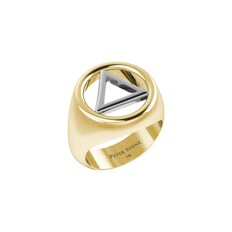 Solid Yellow Gold Band Ring With White Gold AA Recovery Symbol RRI2395-V1