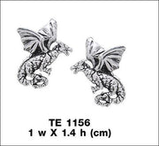 Flying Dragons Silver Post Earrings TE1156 - Wholesale Jewelry