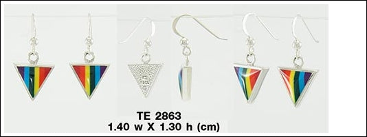 Sterling Silver Rainbow Hook Earrings TE2863