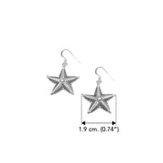 DiveSilver Starfish Sterling Silver Earrings TER2194