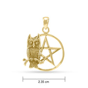 Sitting Owl with Pentacle Gold Pendant GTP3320