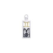 Gemini Silver and Gold Charm MCM297
