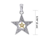 Trinity Knot Silver and Gold The Star Pendant MPD4260