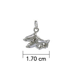 Twin Dolphins Silver Charm TC598