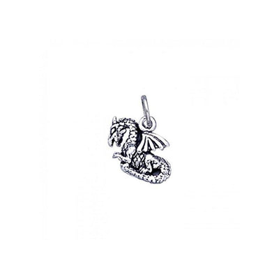 Wear your luck and protection ~ Sterling Silver Jewelry Fantasy Dragon Charm TC728
