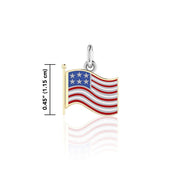Silver and Gold American Flag with Enamel Charm TCV712
