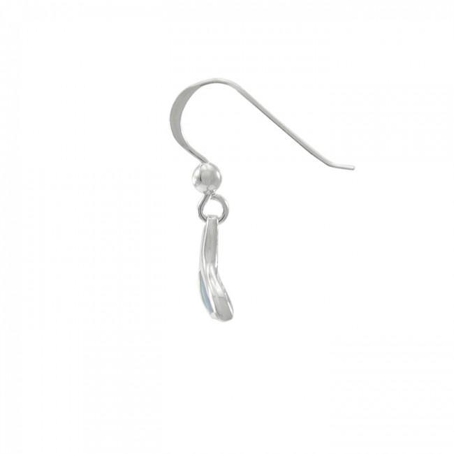 Inlaid Whale Tail Silver Earrings TE2501
