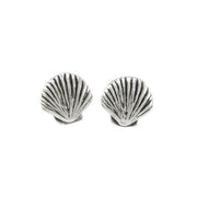 Scallop Shell Silver Earrings TE429