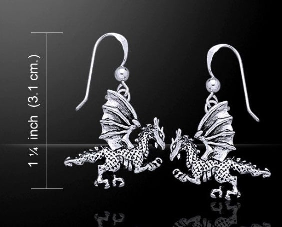 Silver Clawing Dragon Earrings TE993