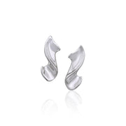 Silver Elegance Earrings TER944